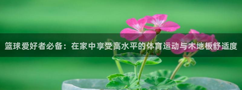 MK体育官网下载平台注册：篮球爱好者必备：在家中享受