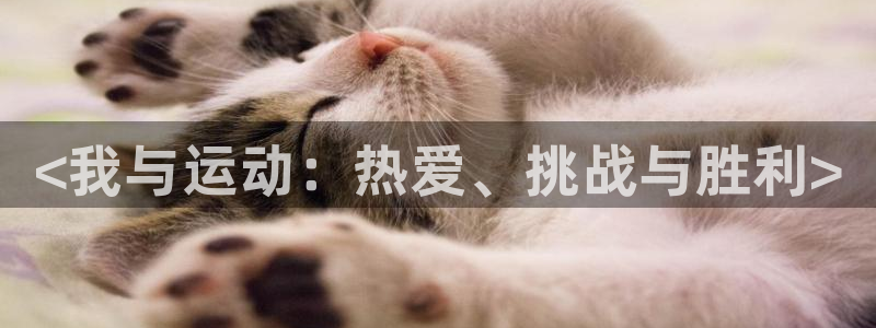 MK体育官方正版app集团官网首页：<我与运动：热爱、挑战与