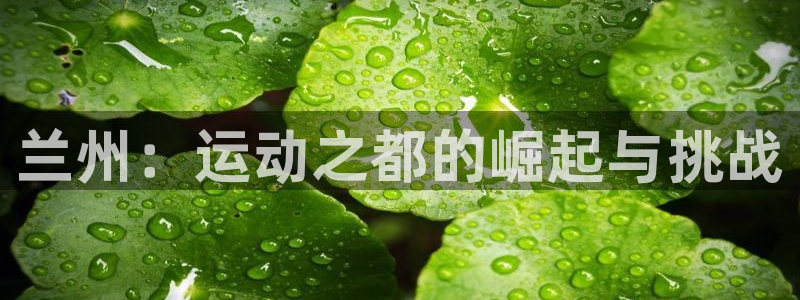 MK体育官方正版app娱乐代理怎么样：兰州：运动之都的崛起与