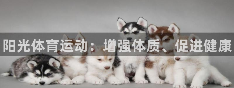 MK体育官方正版app官网：阳光体育运动：增强体质、