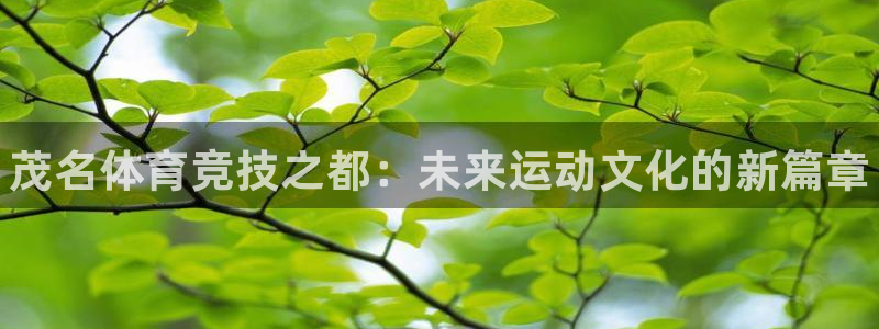 MK体育官网下载招商电话号码查询：茂名体育竞技之都：