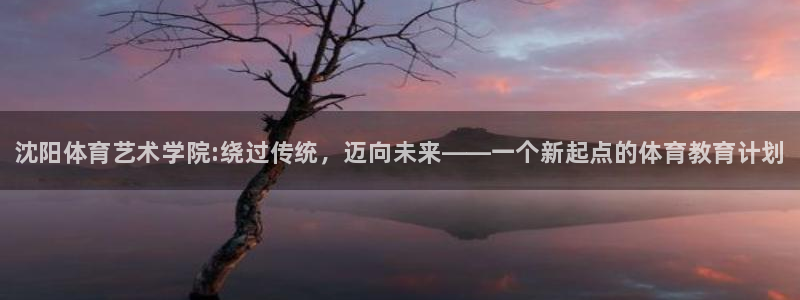 MK体育官方正版app官方：沈阳体育艺术学院:绕过传统，迈向