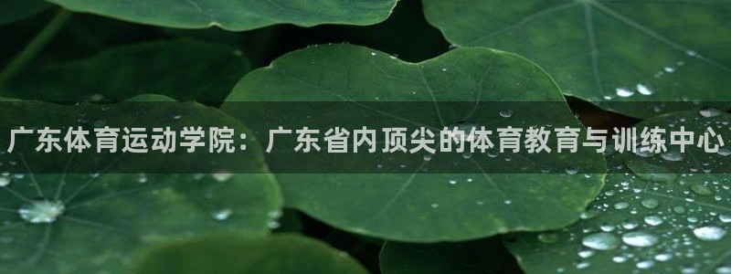 MK体育官方正版app集团：广东体育运动学院：广东省