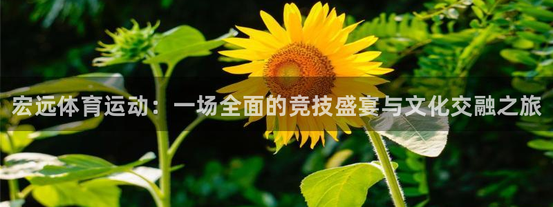 MK体育官网下载开户