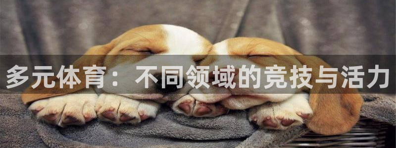 MK体育官网下载平台注册：多元体育：不同领域的竞技与活力