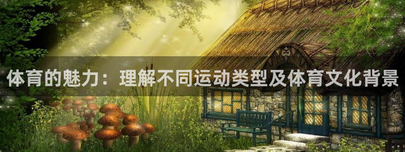 MK体育官方正版app集团E.ON：体育的魅力：理解