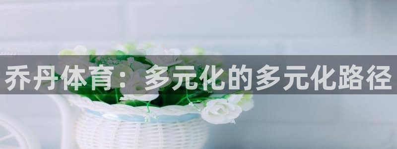 MK体育官网下载平台是正规平台吗知乎：乔丹体育：多元
