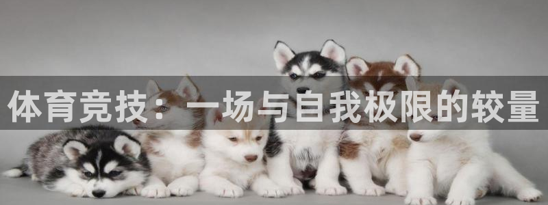 MK体育官方正版app集团官网首页网址：体育竞技：一