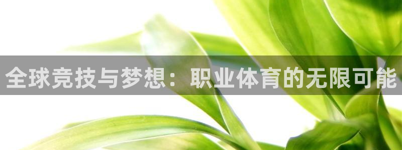 MK体育官网下载招商电话号码查询：全球竞技与梦想：职业体育的