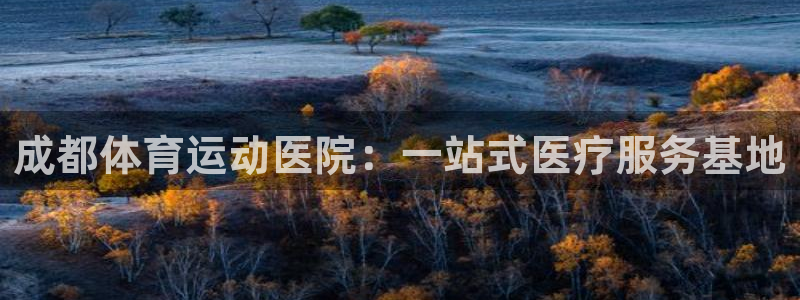 注册MK体育官方正版app：成都体育运动医院：一站式医疗服务