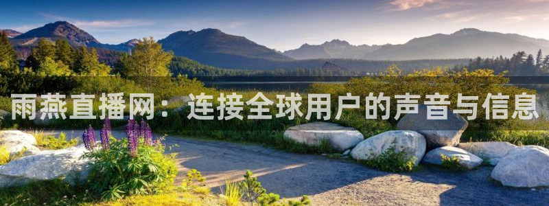 袋鼠nba直播在线观看