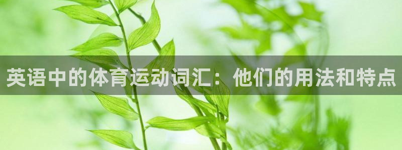 MK体育官方正版app集团：英语中的体育运动词汇：他们的用法