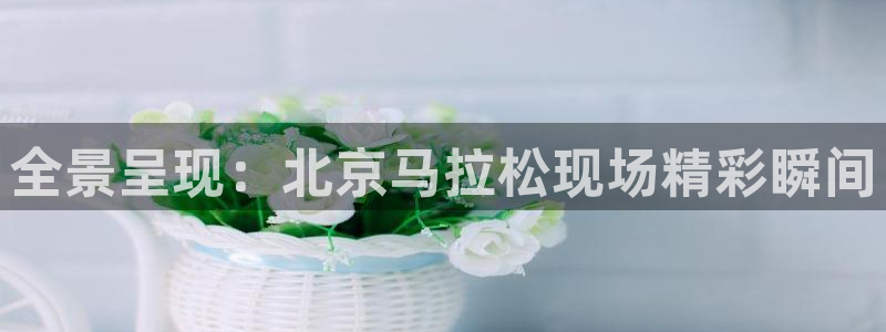 袋鼠直播体育五大球联赛：全景呈现：北京马拉松现场精彩瞬间