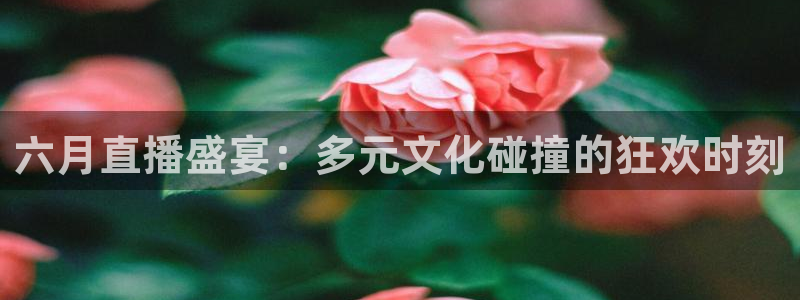 袋鼠直播体育.新网页.org：六月直播盛宴：多元文化碰撞的狂欢时刻